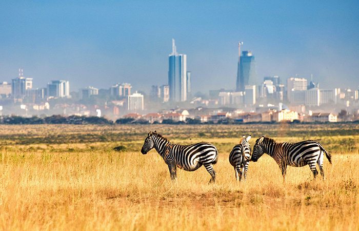 Nairobi National Park picture