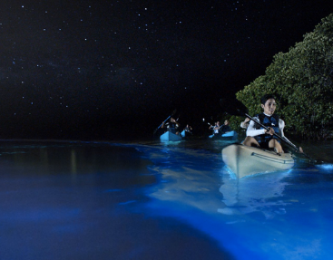 Photo of Mosquito Bioluminescent Bay Night Kayaking​
