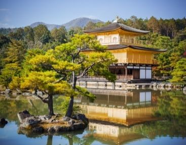Kinkaku-ji: The Golden Pavilion​
