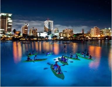 Photo of LED Night Kayak​