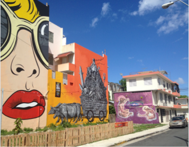 Photo of Arte Boriken-Puerto Rican Urban Art Tour ​