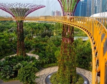 Singapore Botanic Gardens Guided Tour