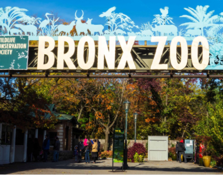 Bronx Zoo​