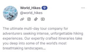 travel agent profile sample